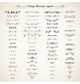 vintage elements vignette vector image