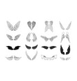 collection of wings vector image