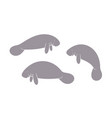 manatee vector image