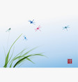 dragonflies and leaves of grass on blue sky vector image vector image