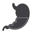 stomach icon vector image vector image