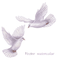 flying doves vector image vector image