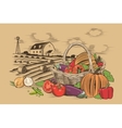 basket of vegetables vector image