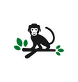 monkey jungle logo design vector image