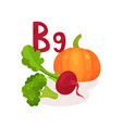 products containing vitamin b9 folic acid fresh vector image