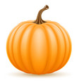 pumpkin stock vector image