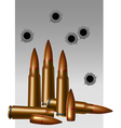 ammunition vector image vector image