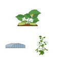 greenhouse and plant logo vector image