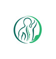 creative chiropractic vector image vector image