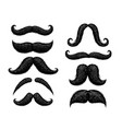 hand drawn mustache old-fashioned curly hipster vector image vector image