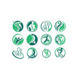 creative chiropractic vector image vector image