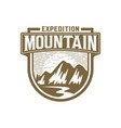 mountain vintage logo vector image