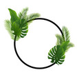 palm tree leaves black frame isolated white vector image