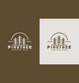 pine tree monoline logo template universal vector image