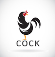 cock vector image