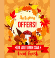 autumn sale special offer poster template design vector image