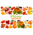 autumn banner with border of fall leaf pumpkin vector image