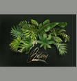 banner with green tropical leaves on green vector image vector image