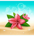 plumeria pink flower and leaf on sand vector image vector image