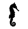 black seahorse vector image
