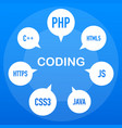 web development infographic programing skill vector image