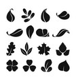 black monochrome symbols of spring leaf vector image