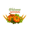 autumn welcome fall pumpkin greeting poster vector image