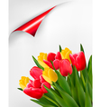 holiday background with bouquet of red and yellow vector image vector image