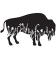 floral american bison or buffalo and grass vector image vector image