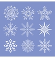 snowflakes vector image