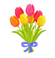 beautiful bouquet of seven multicolored tulips vector image