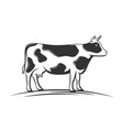 cow silhouette isolated on white background vector image