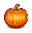 pumpkin isolated on white background vector image