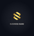 s initial gold logo vector image