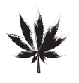 abstract cannabis background vector image