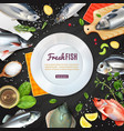 fishes frame background vector image