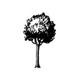 ink sketch of tree vector image
