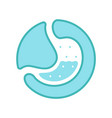 stomach human vector image