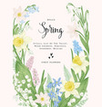 card with spring flowers vector image vector image
