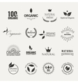 organic elements vector image vector image