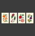 abstract fruit poster modern food vintage hand vector image vector image