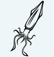 fresh squid vector image