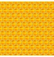 honeycomb pattern vector image vector image