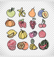 fruit set in bright color vector image vector image