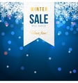 sale banner with snowflakes vector image vector image