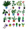 collection indoor plants with funny face pots vector image