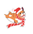 funny christmas a french bulldog vector image vector image