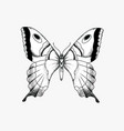 final-v903-grain vector image vector image