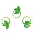 green sheet vector image vector image