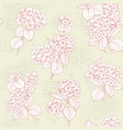 flower pattern of hydrangea flowers vector image